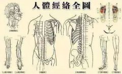 經(jīng)絡(luò)通則百病消！ 6個現(xiàn)象判斷經(jīng)絡(luò)通不通